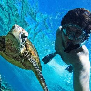 Meet your Posher, Zach